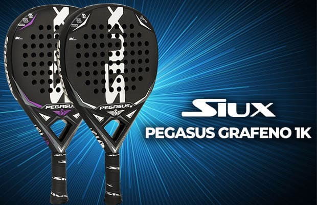 Nueva versión Siux Análisis de la Siux Pegasus Grafeno 1K