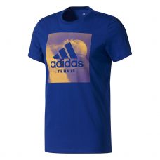 CAMISETA ADIDAS CATEGORY TEN AZUL GOLD