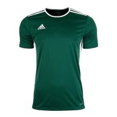 CAMISETA ADIDAS ENTRADA 18 VERDE BLANCO