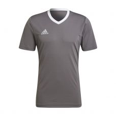 CAMISETA ADIDAS ENTRADA 22 GRIS