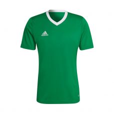 CAMISETA ADIDAS ENTRADA 22 VERDE BLANCO